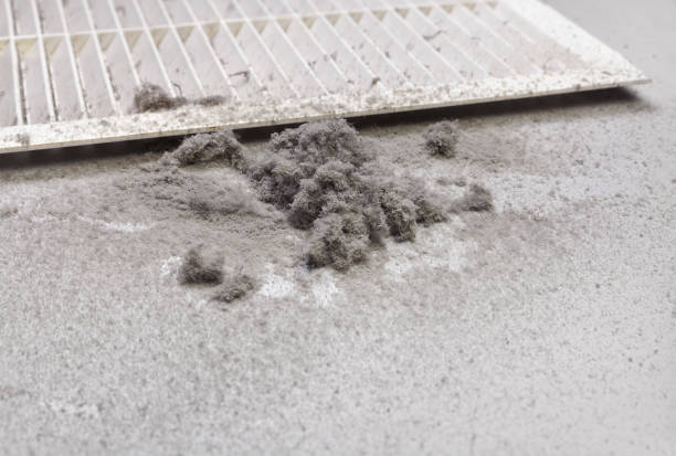 Best Affordable Duct Cleaning Services  in Rosenhayn, NJ