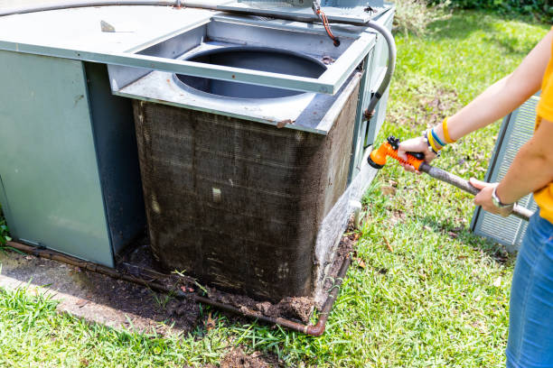 Best Duct Cleaning for Homes  in Rosenhayn, NJ