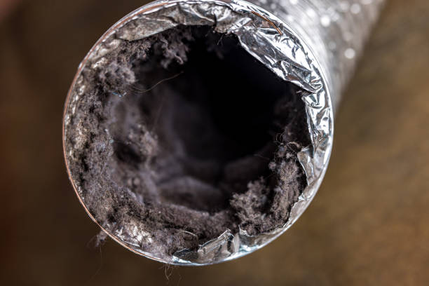 Best Air Duct Cleaning Near Me  in Rosenhayn, NJ