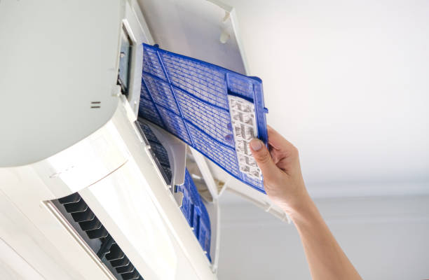 Best Home Air Vent Cleaning  in Rosenhayn, NJ
