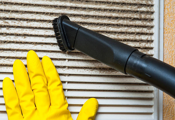 Best HVAC System Cleaning  in Rosenhayn, NJ